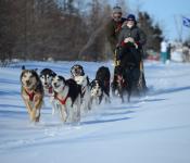 Frontiers North Adventure dog sled