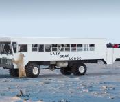 Lazy Bear Lodge Polar Bear Adventure