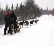 Great Canadian Travel Company takes us for a ride.