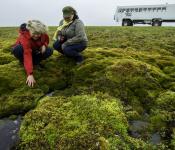 Frontiers North Adventure summer Tundra Buggy Excursion