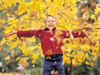 Boy in the Fall Leaves