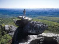 Hikerpilotknob