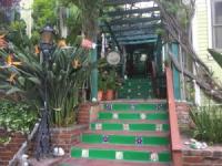La Paloma Las Flores