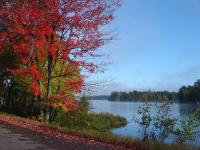 Lakeside Fall Colors