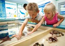 Touch Tank at PDZA