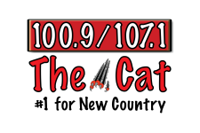 The Cat Logo