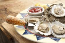 oysters fall
