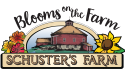 Schuster's Farm