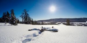Person making a snow angel in the sun.
