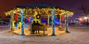 Wildlights