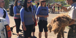 Wildlife Park