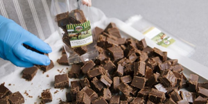 Burley Fudge Shop Burley Card Offer New Forest Sweet