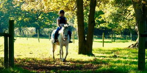 Burley Villa School of Riding