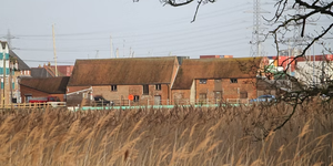 Eling Tide Mill Experience