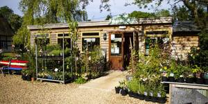 Hockeys Farm - Farmyard Cafe - New Forest Card Offer