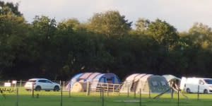 Little Hill Farm New Forest Card Offer Camping Pitch Savings Family