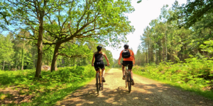 New Forest Cycling Tours Card Offer Paid Bike Ride Couple Trees