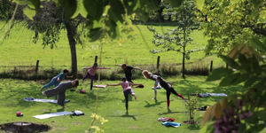 The Wild Times New Forest Card Offer Yoga Paddleboarding Wellness Health Community