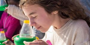South Street Seaport Museum Family Activity Weekends