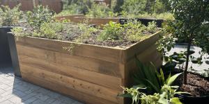 Tourism Impact Grant - Elizabethan Gardens Sensory Garden