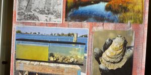 Tourism Impact Grant - NC Aquarium - Oyster Exhibit