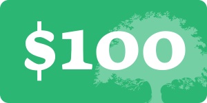 $100 donation button