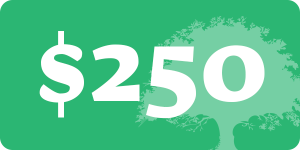$250 donation button