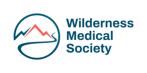 WMS Master Original - Primary Logo