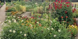 Fort Garden Summer