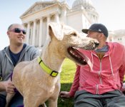 Pets on Capitol Square