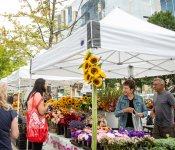 Farmers Market Shopper