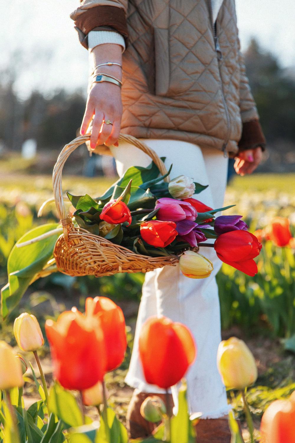 Wicked Tulips Flower Farm