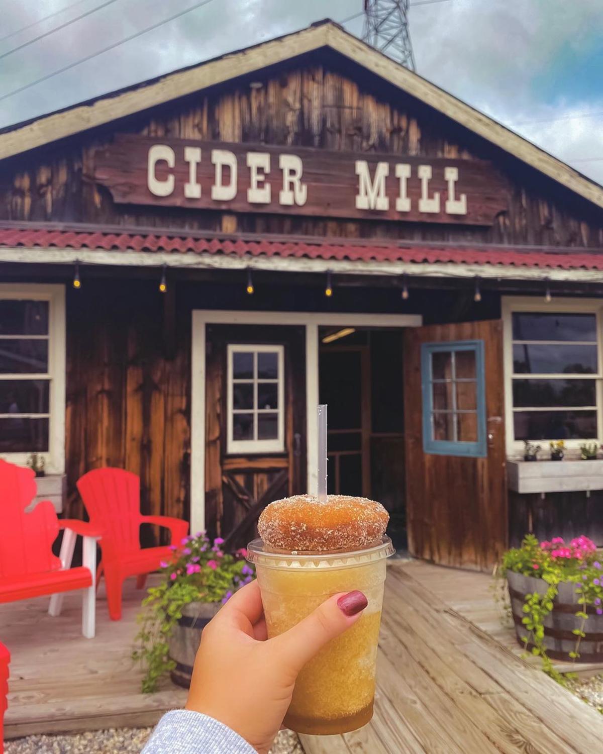 Great Lakes Bay Guide To Fall Family Fun Pumpkins, Mazes & More