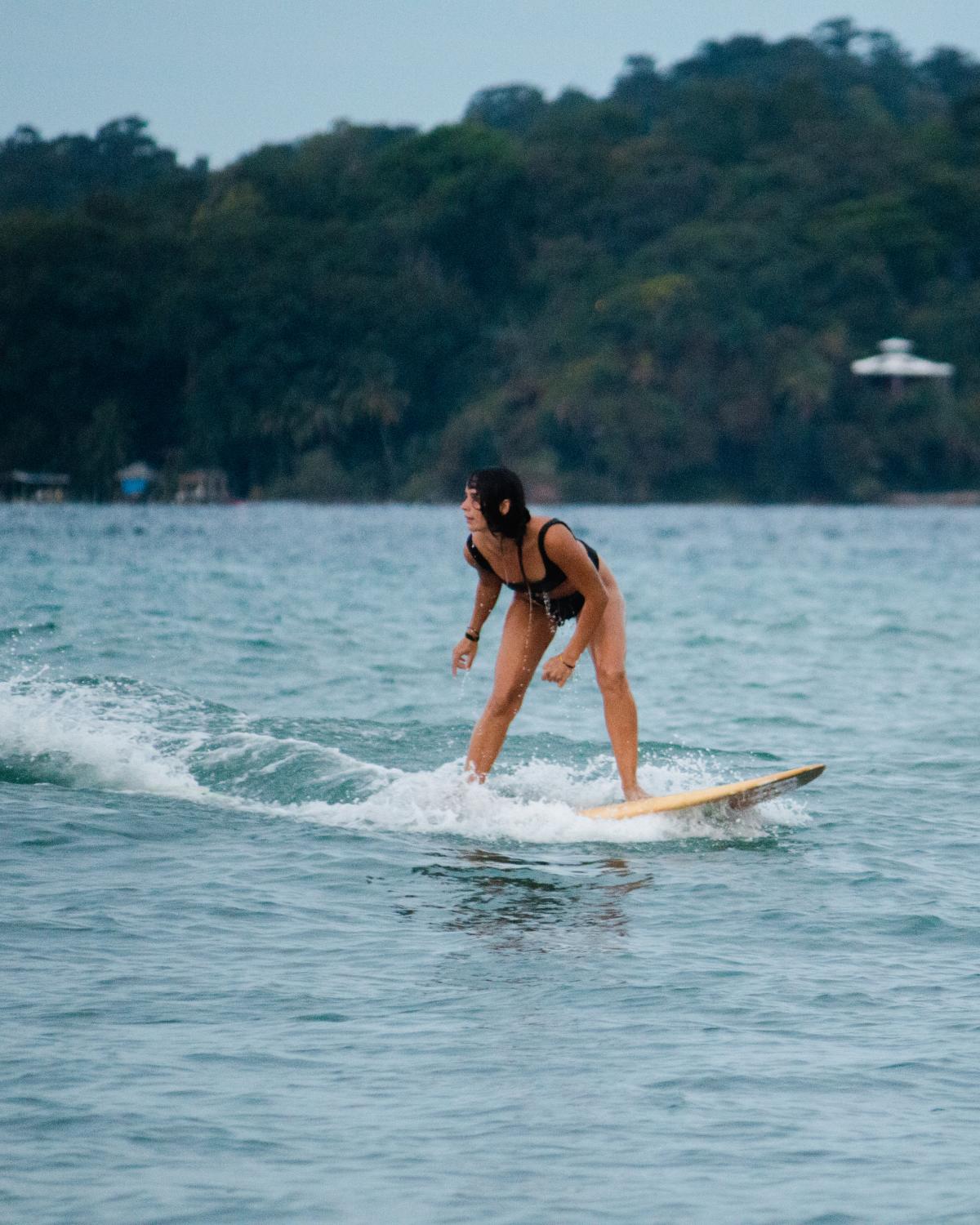 Black Rock Surf