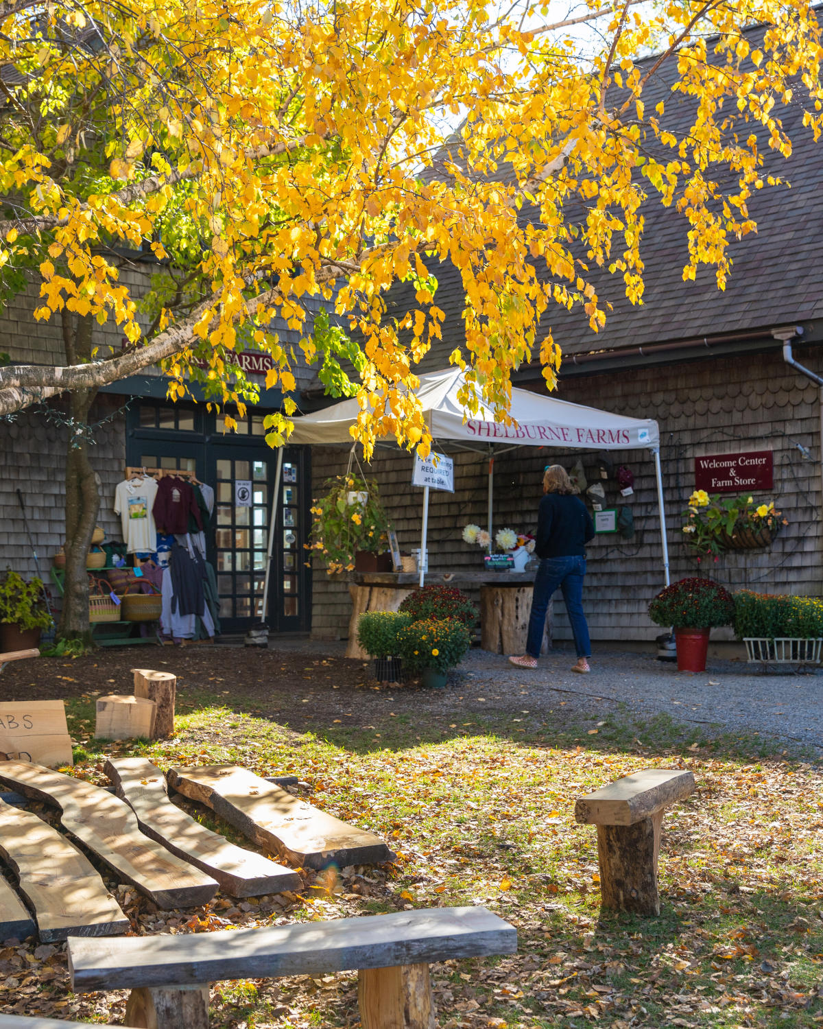 2020-1-Fall-Farm-Store-credit-Sarah-Webb-for-Shelburne-Farms.jpg