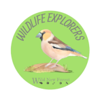 Wild New Forest - Wildlife Explorers Logo