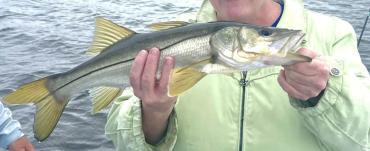 Closeup of Snook on Silver Lining Charters Fishing Trip