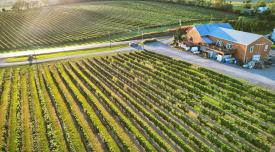 Shade Mountain Winery