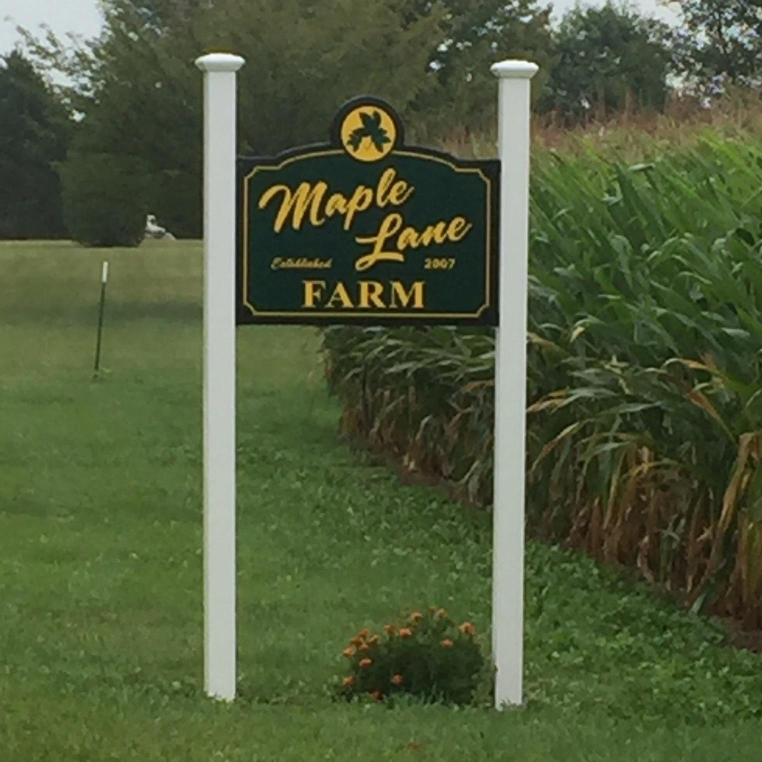 Maple Lane Farm