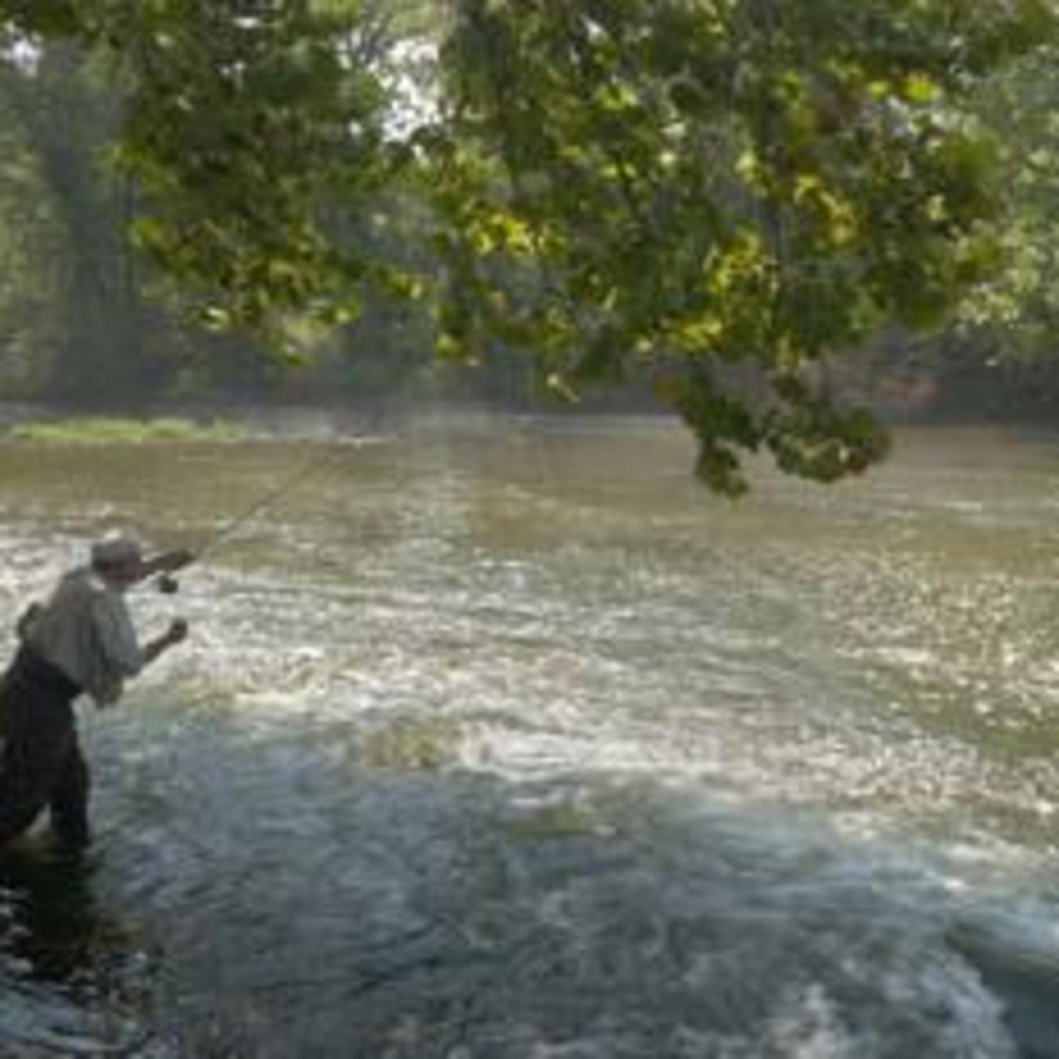 Fly-Fishing on the Yellow Breeches Creek at Allenberry
