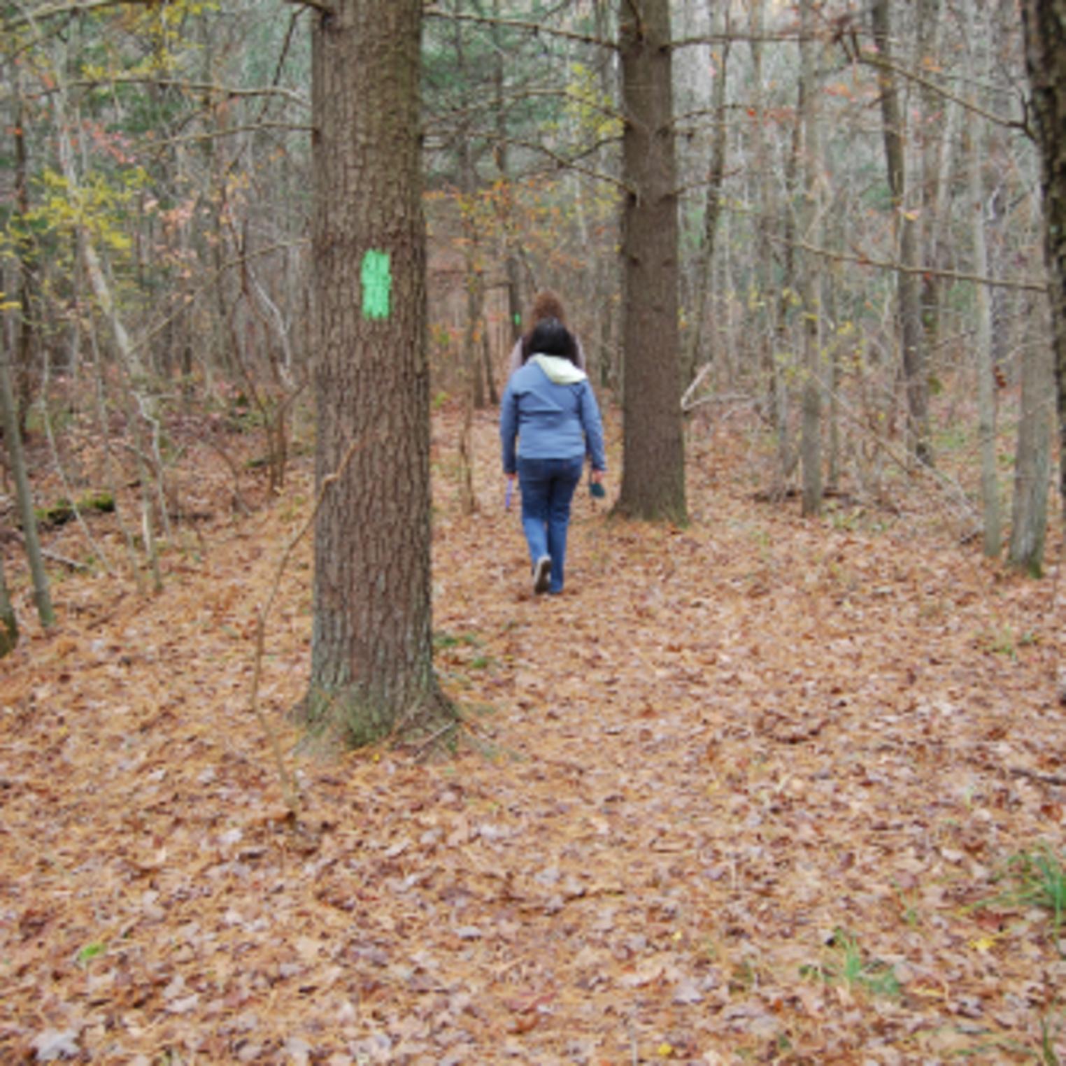 Hiking Spring Trail at Mt Holly Marsh Preserve