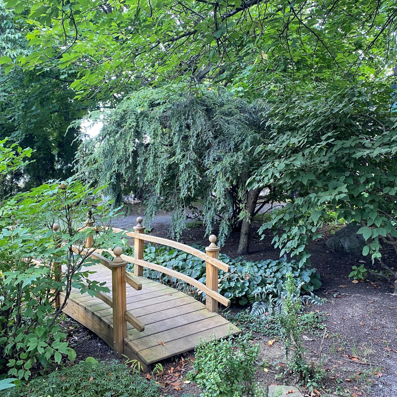 Peace Garden