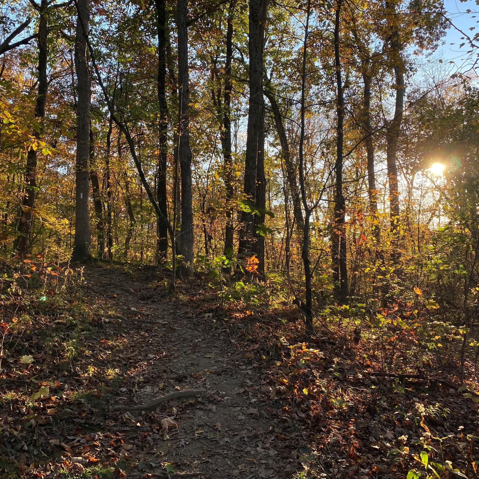 Cumberland Valley Overlook in the Fall