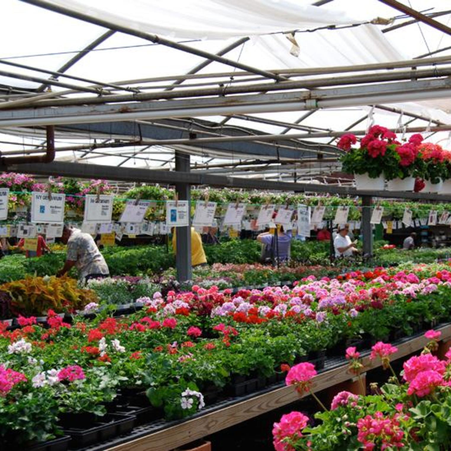 Choose from a variety of flowers.