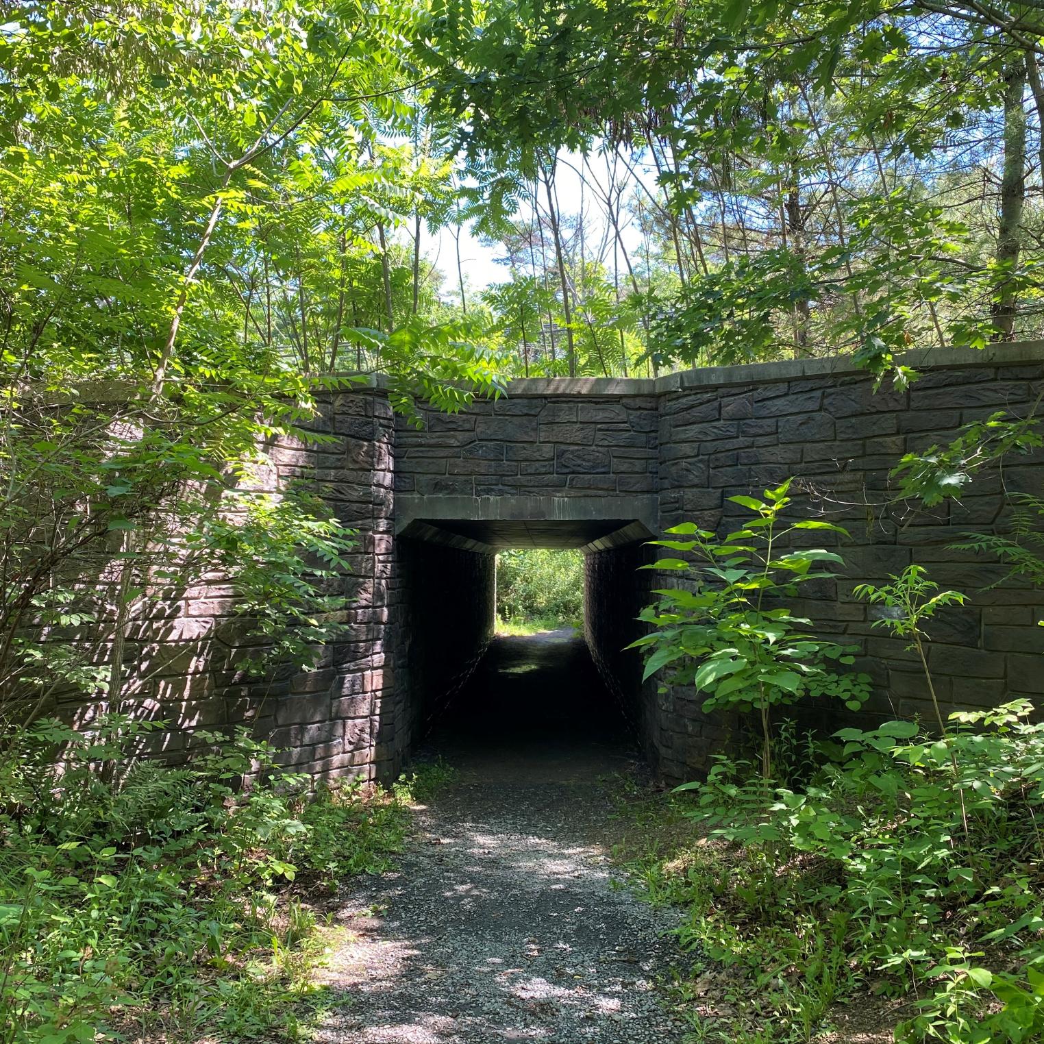 Cumberland Valley Overlook