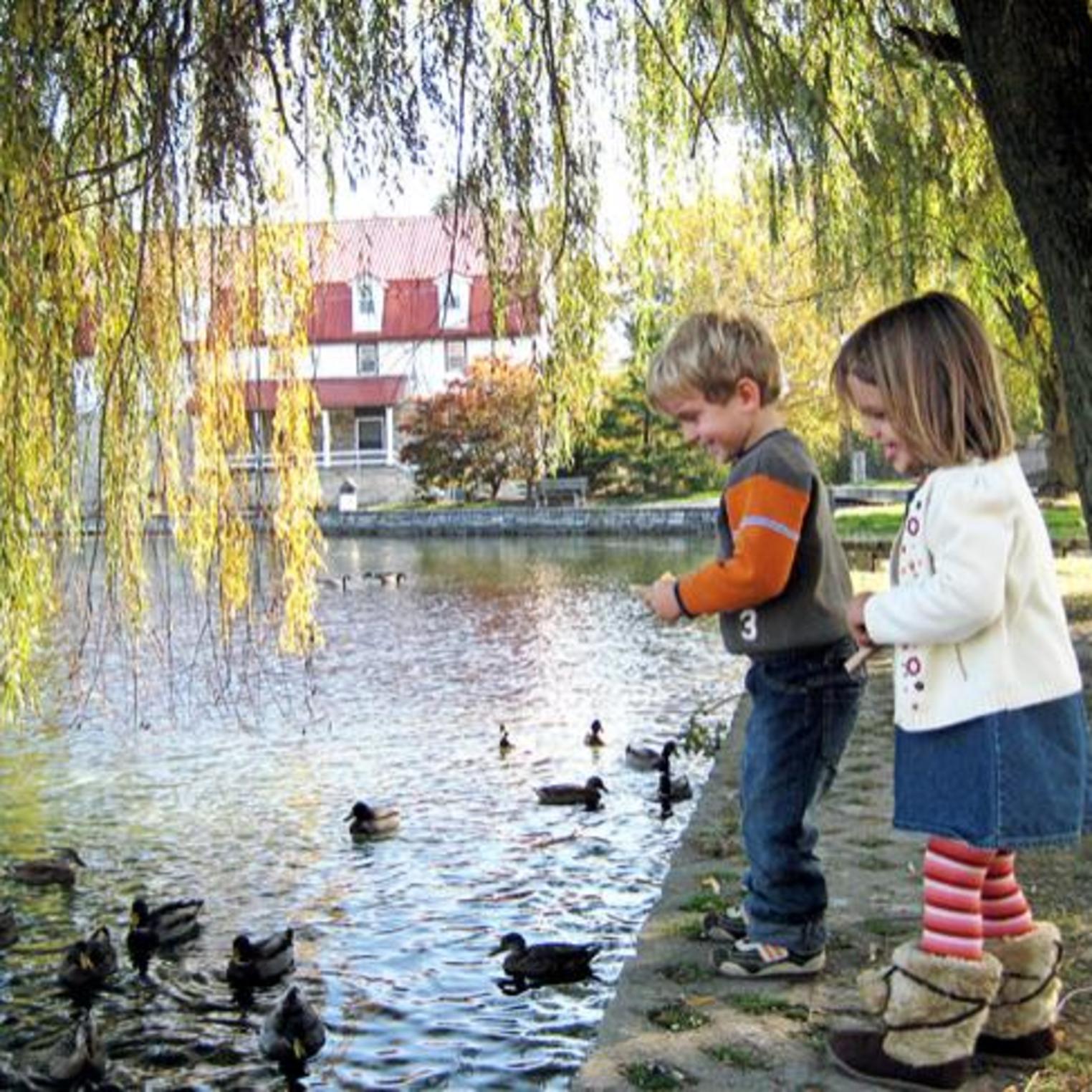 Feeding the ducks at Children's Lake