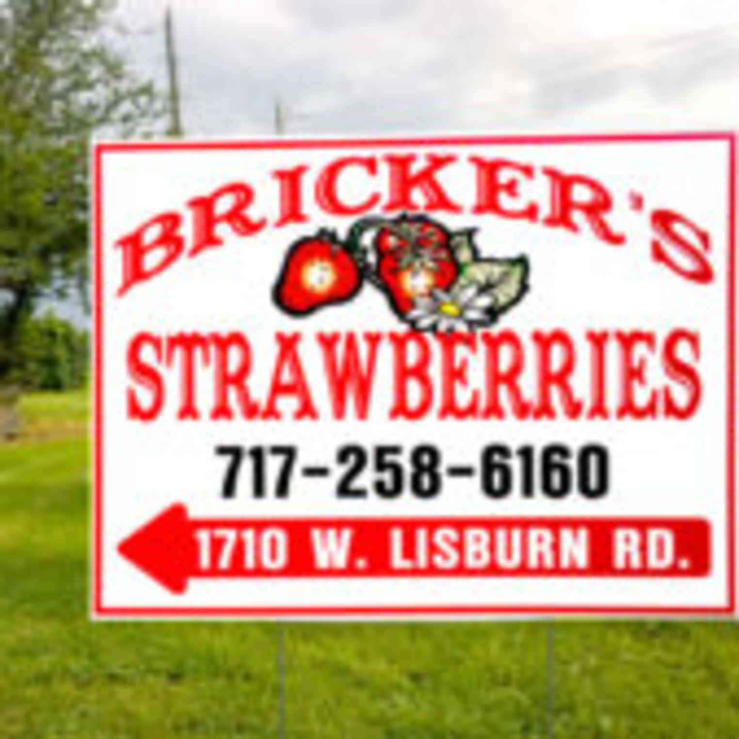 Bricker's Strawberries