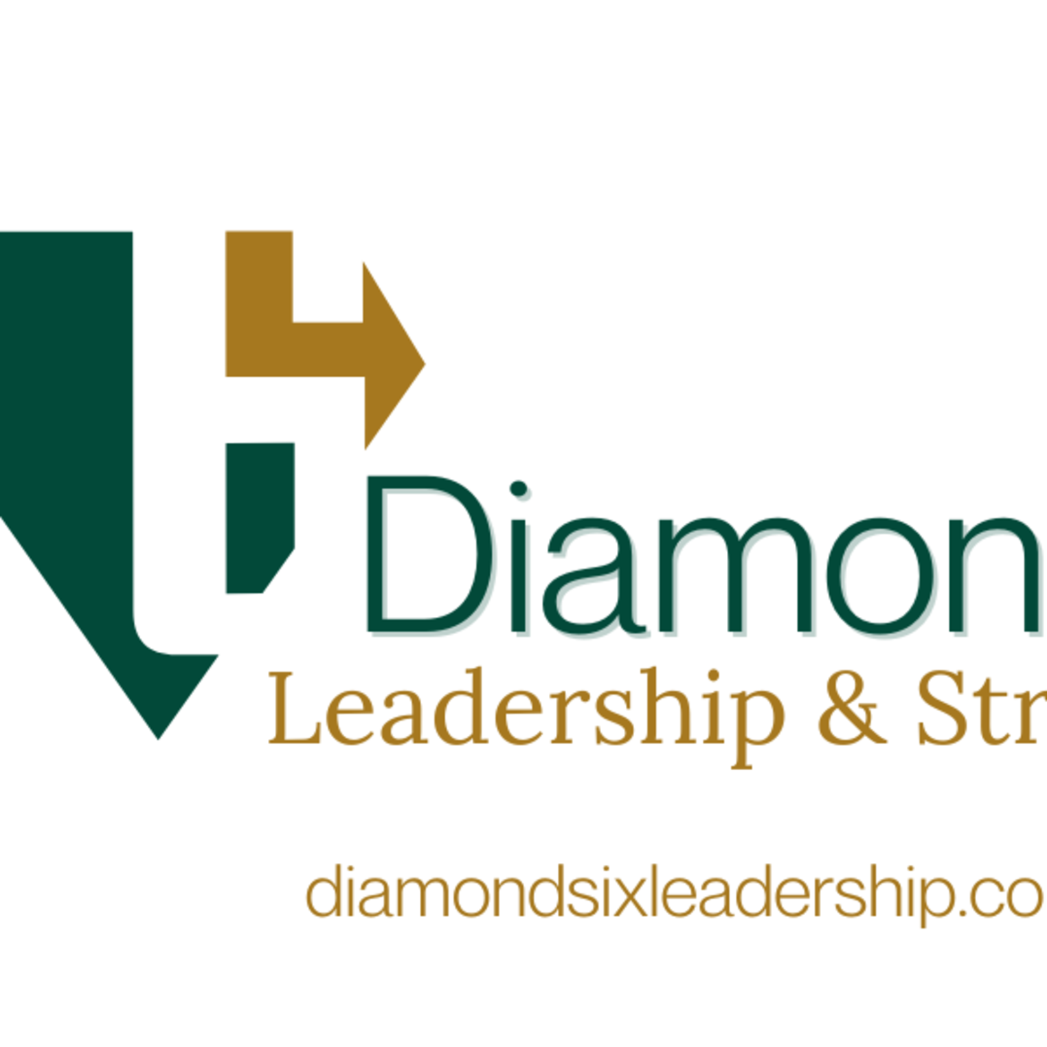 Diamond6 Leadership