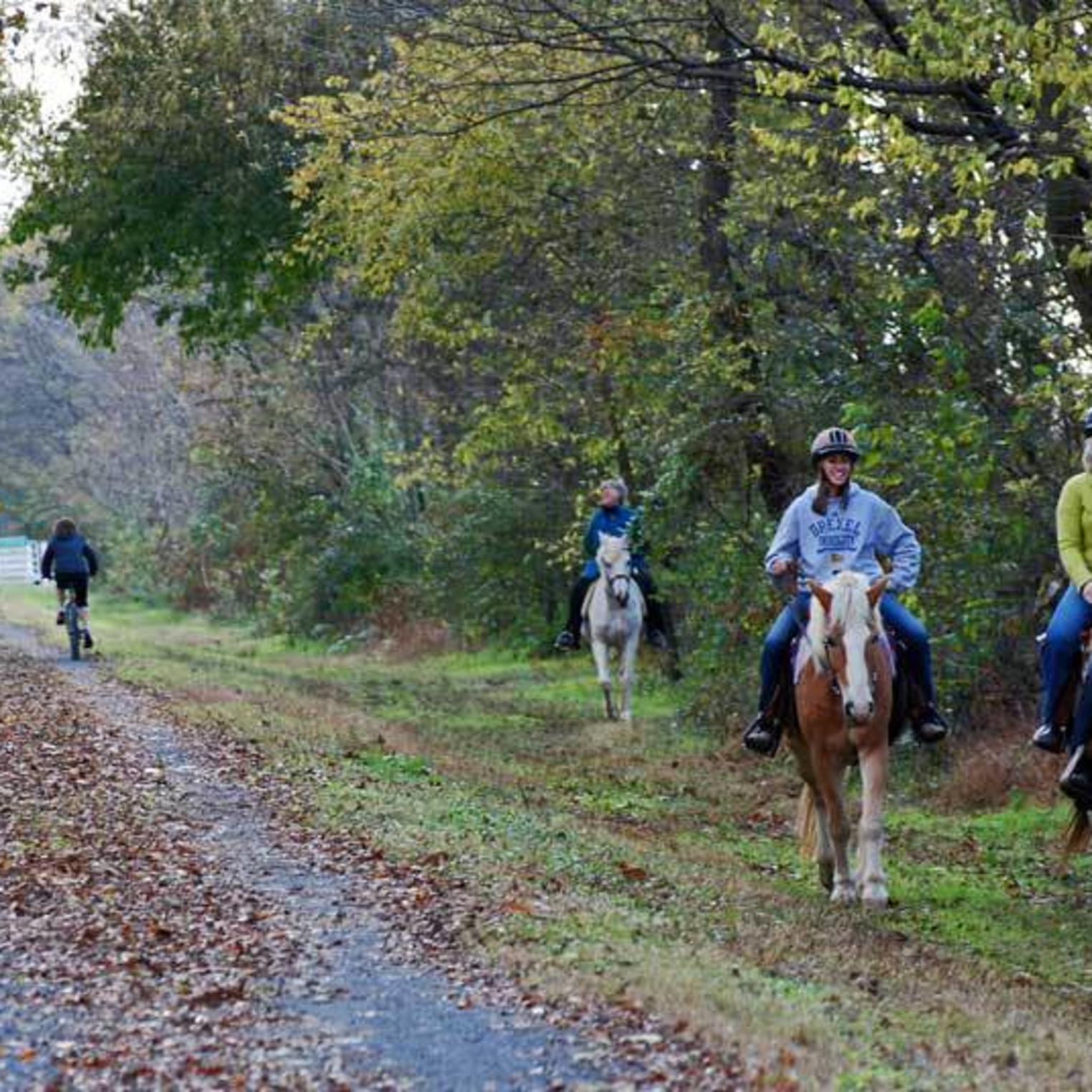 Biking, Walking and Horseback Riding on the Cumberland Valley Rail Trail