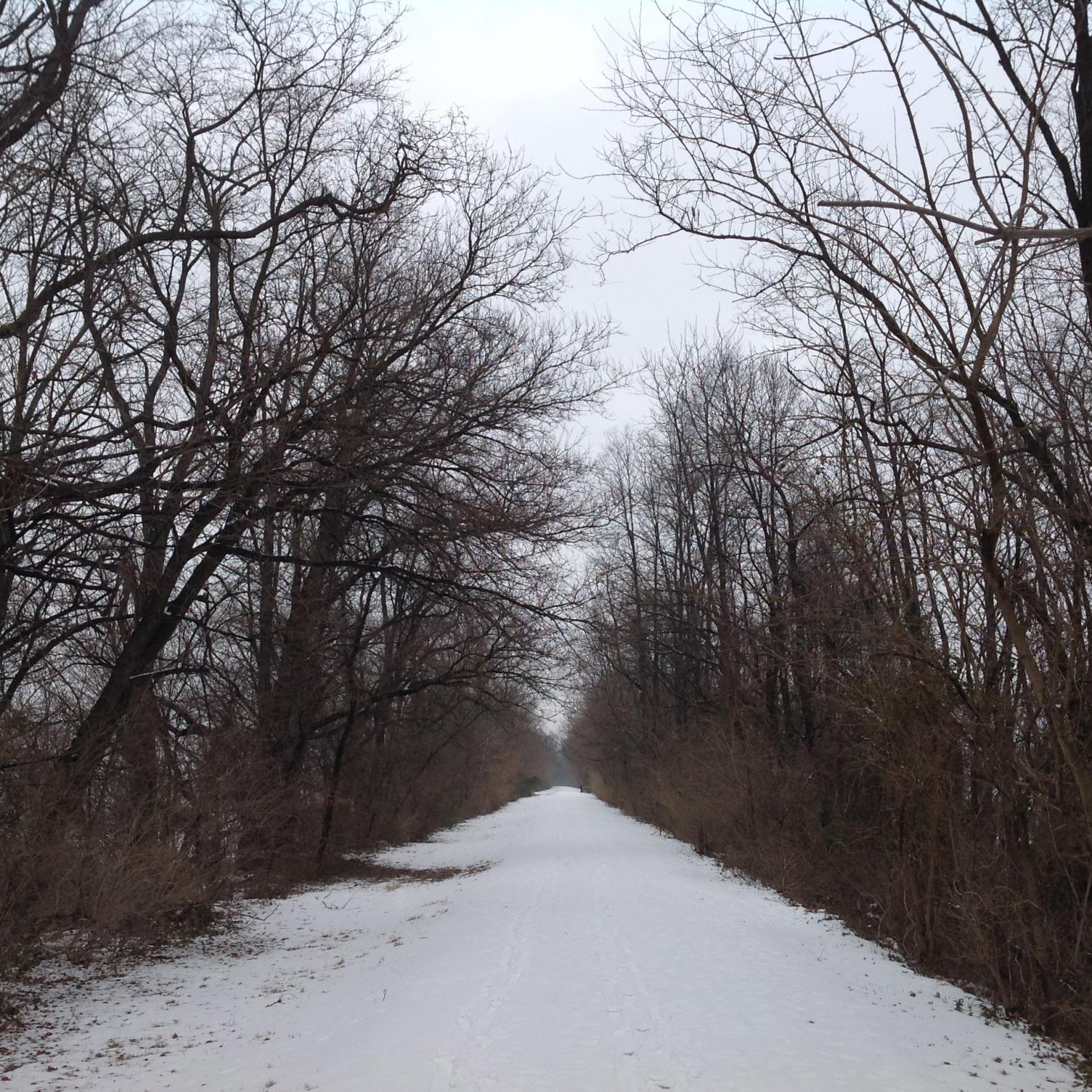 The Cumberland Valley Rail Trail in Winter